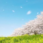 奇跡は起きるのではなく、おこすもの
