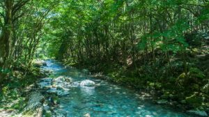 人生を思うように操る