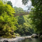 橋