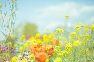 肝臓に言葉をかける